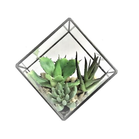 Dare2Decor 5.5 in. Green Succulents Diamond Terrarium DA3246072